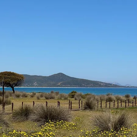 Belvedere - Penzion *